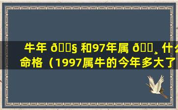 牛年 🐧 和97年属 🕸 什么命格（1997属牛的今年多大了）